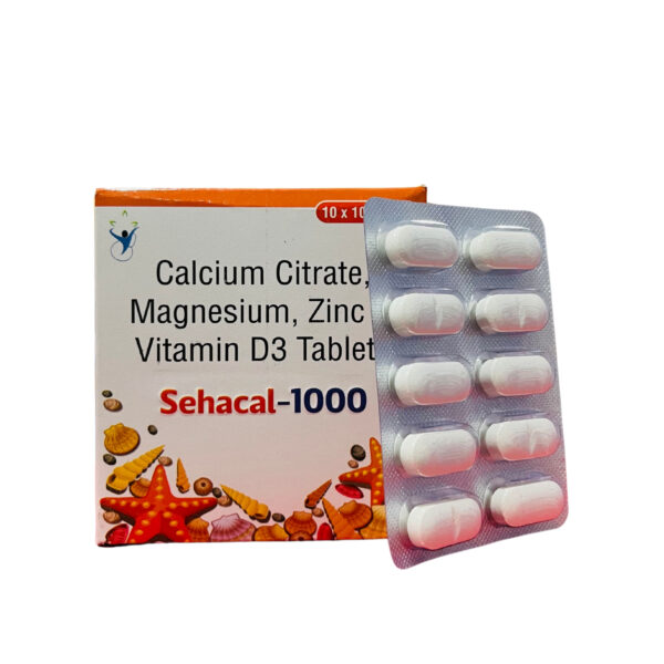 SEHACAL-1000 - Image 3