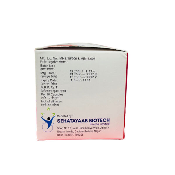 SEHA PAN-DSR - Image 4